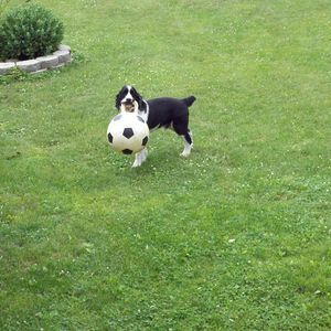 Meet your Posher, Brian jody